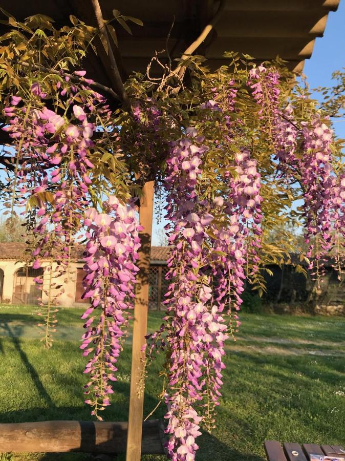 Agriturismo Corte Galvagnina Cesole Exteriör bild